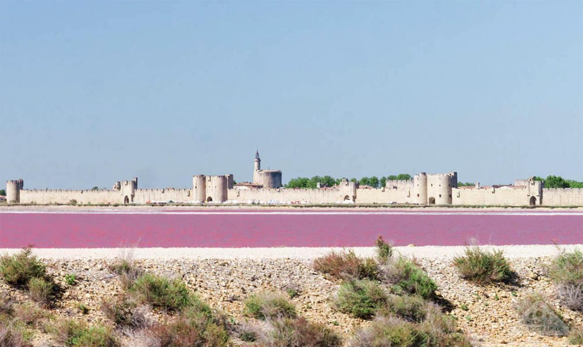 Marina Aigues-Mortes **** Экстерьер фото